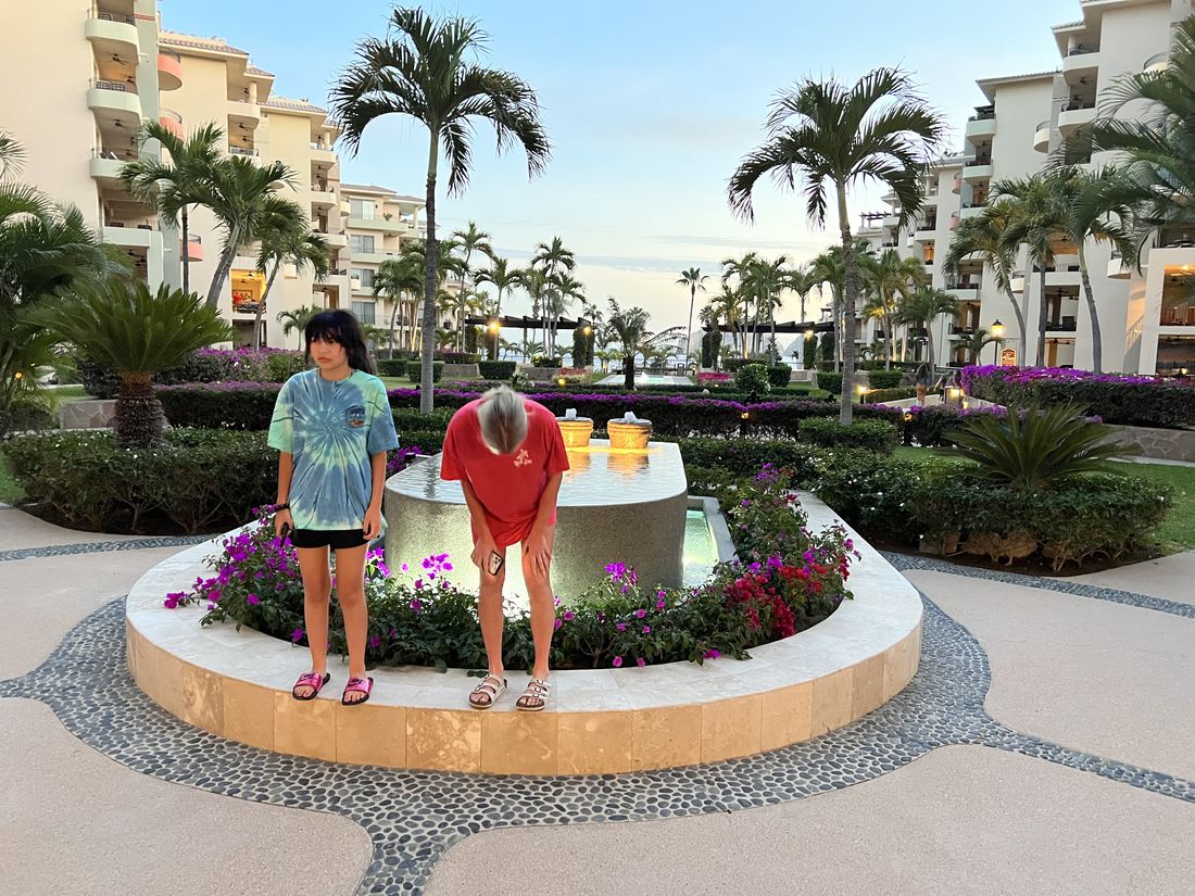 Courtyard palms · Land's End beyond
